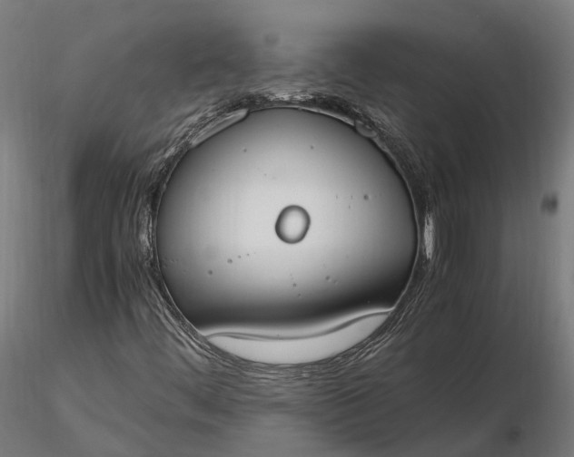 X0000116331444200912151255