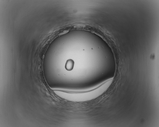 X0000116331445200912151254
