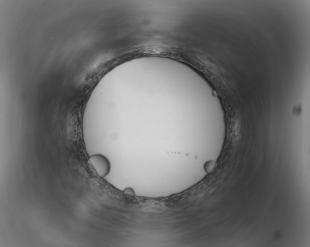 X0000116331446200912151254