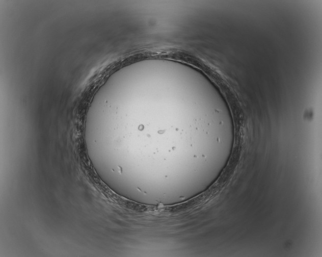 X0000116331447200912151254