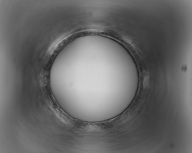 X0000116331448200912151254