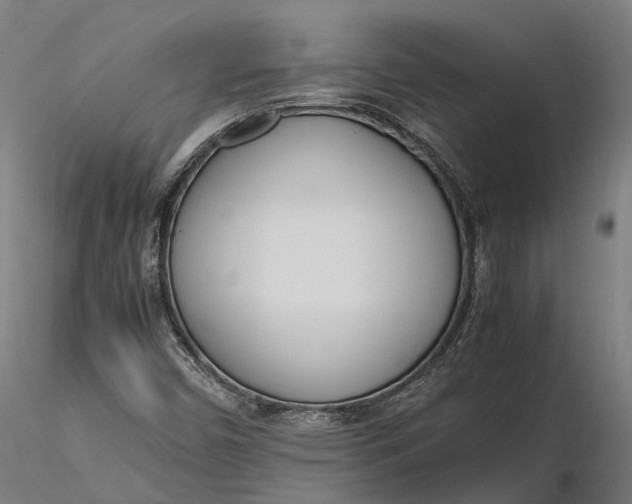 X0000116331450200912151254
