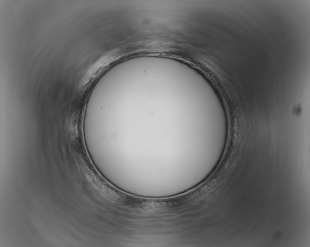 X0000116331451200912151254