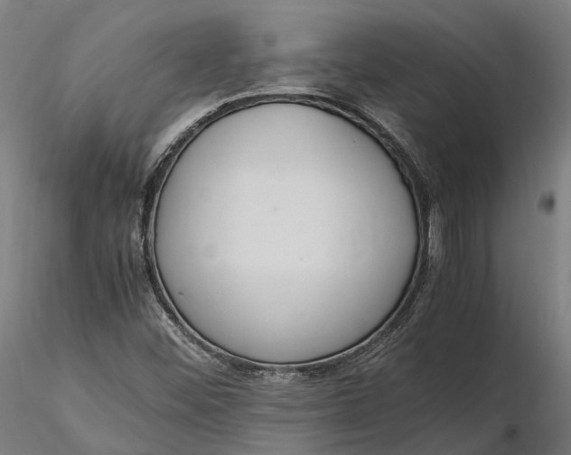 X0000116331452200912151254