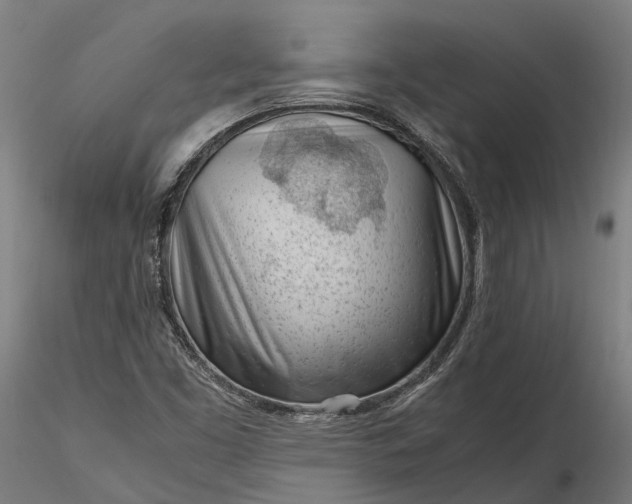 X0000116331453200912151254
