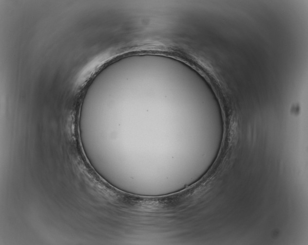 X0000116331455200912151254
