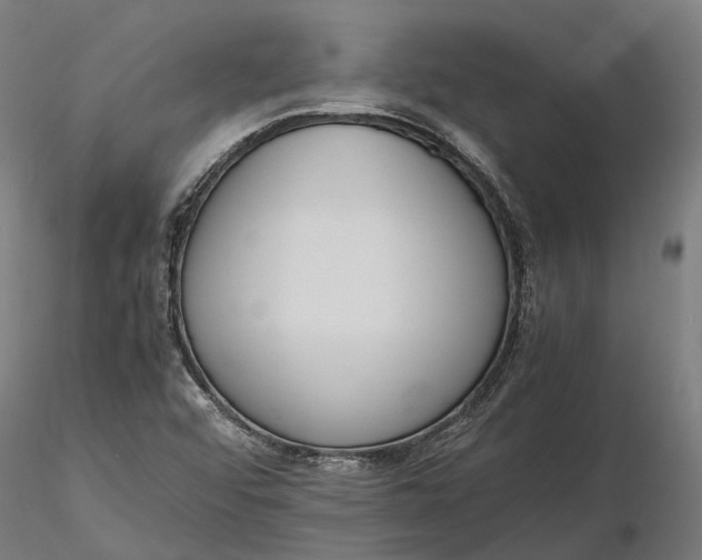 X0000116331456200912151254