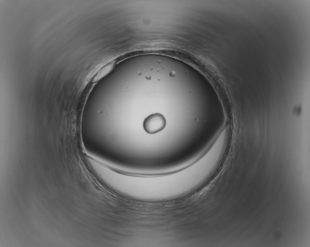 X0000116331457200912151254
