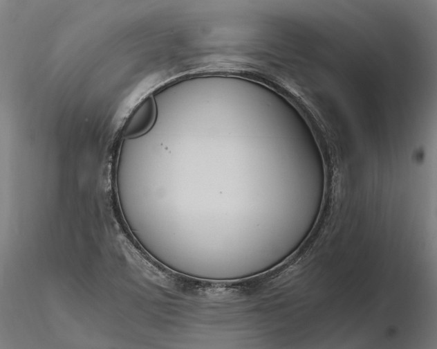 X0000116331459200912151254