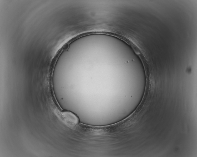 X0000116331460200912151254