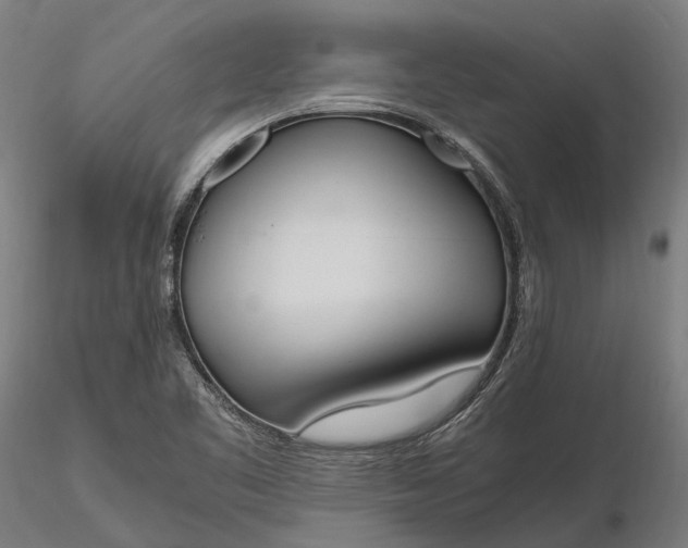 X0000116331461200912151254
