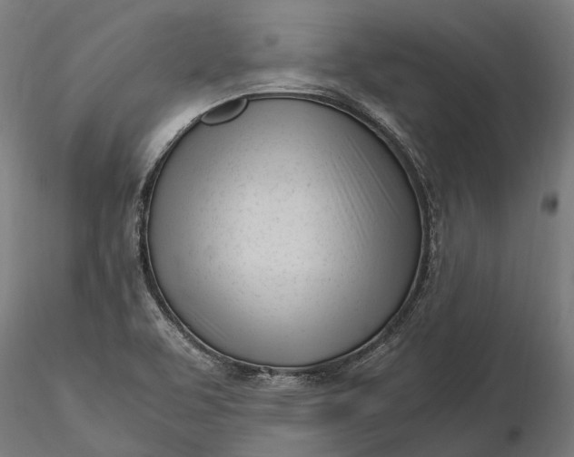 X0000116331463200912151254