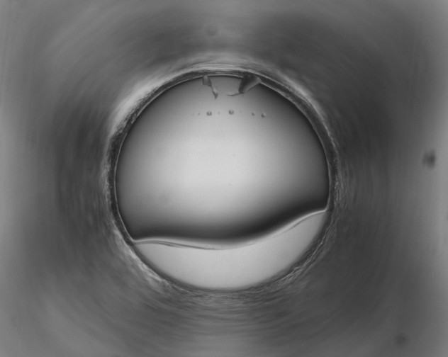 X0000116331464200912151254