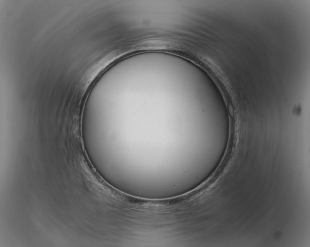 X0000116331465200912151254