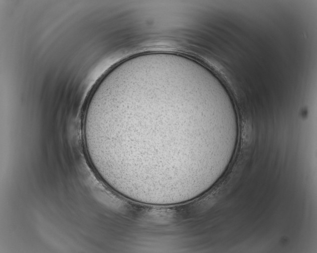 X0000116331466200912151254