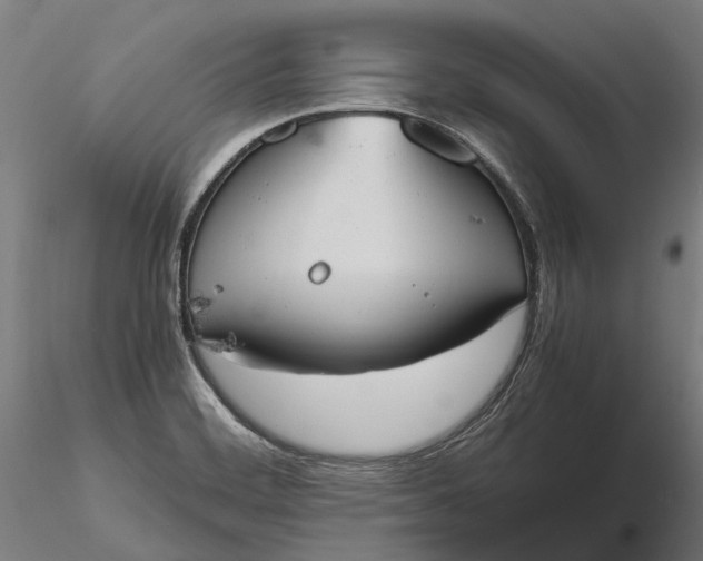X0000116331468200912151254