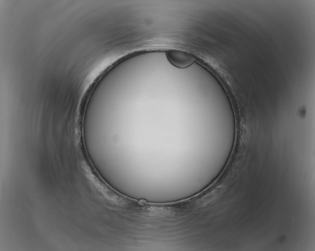 X0000116331469200912151254