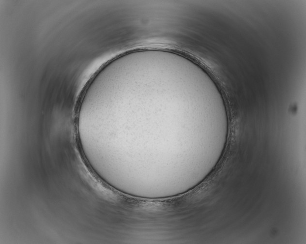 X0000116331470200912151254