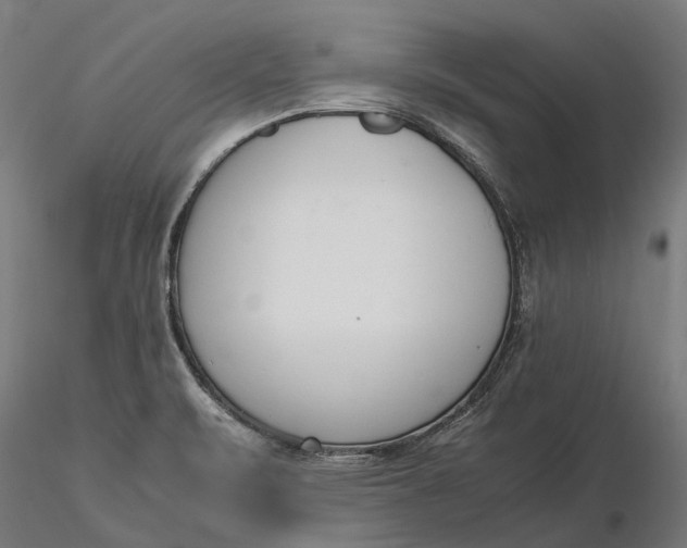 X0000116331471200912151254