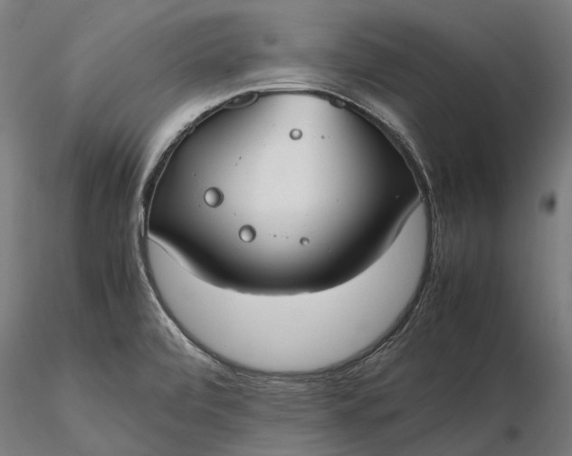 X0000116331472200912151254