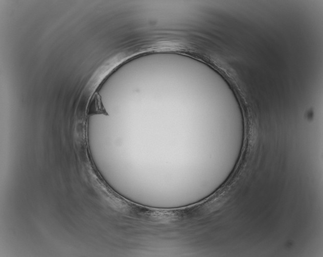 X0000116331473200912151254