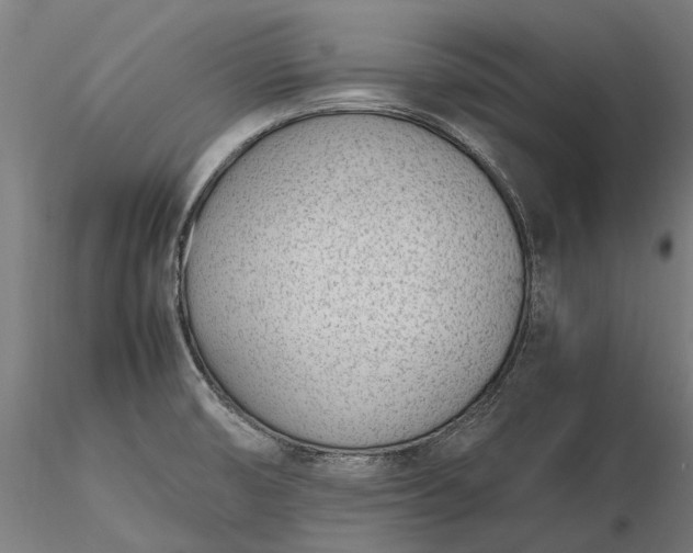 X0000116331474200912151254