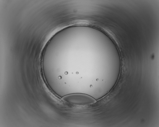 X0000116331475200912151254