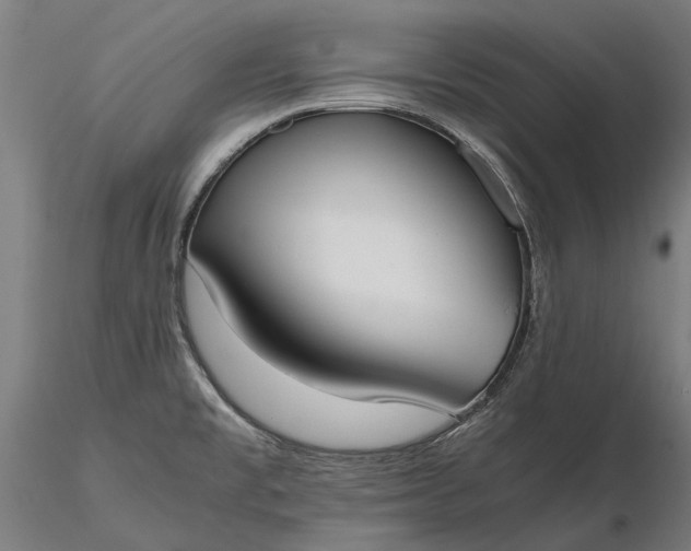 X0000116331477200912151254