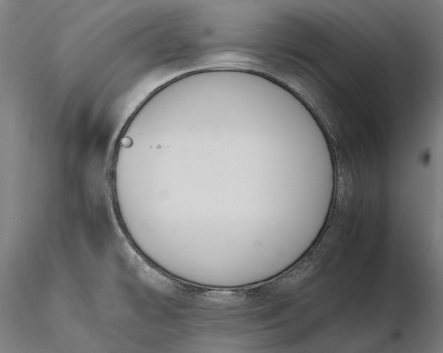 X0000116331478200912151254