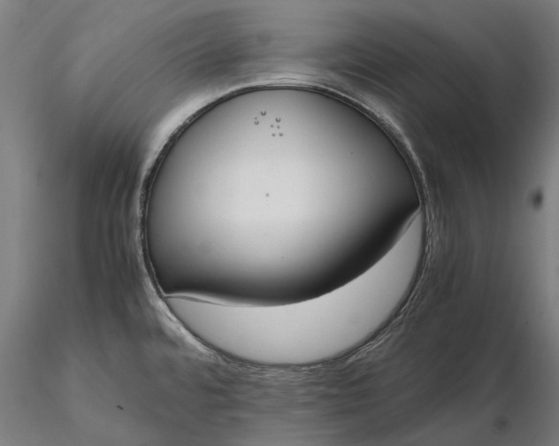 X0000116331480200912151254