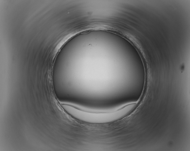 X0000116331481200912151254
