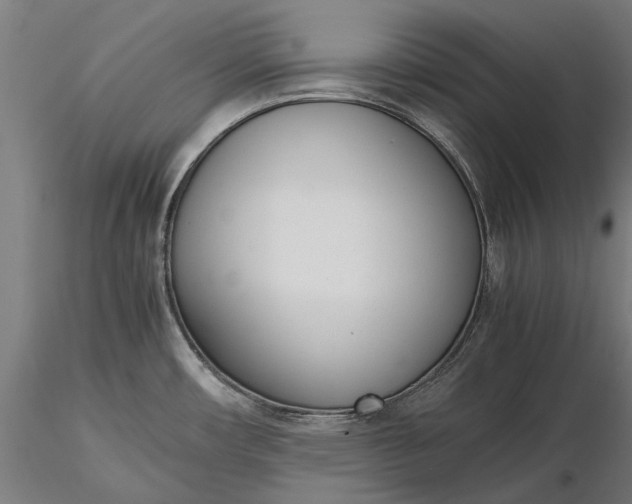 X0000116331482200912151254