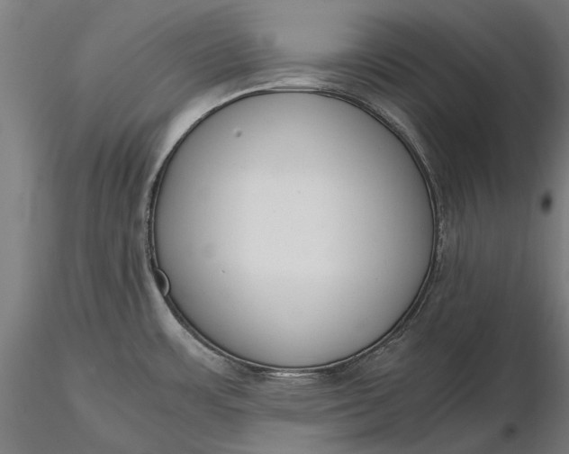 X0000116331483200912151254