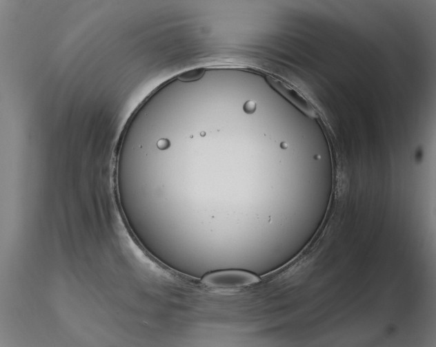X0000116331484200912151254