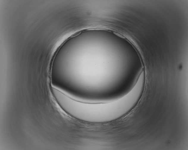 X0000116331485200912151254