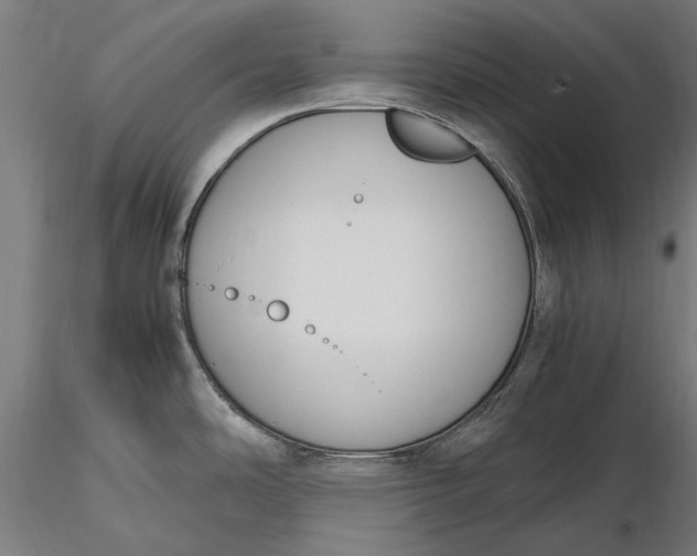 X0000116331486200912151254