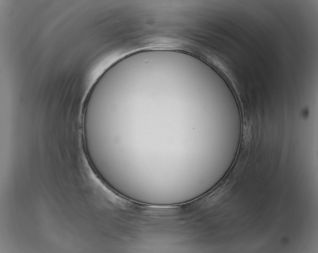 X0000116331487200912151254