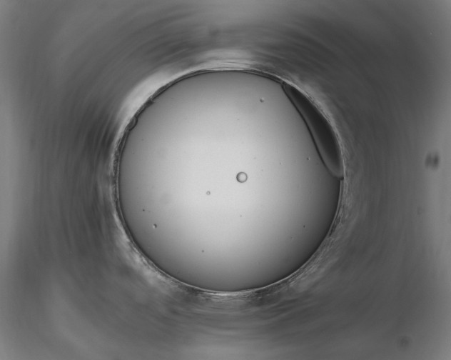 X0000116331488200912151254