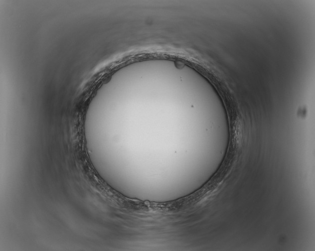 X0000116331494200912151253