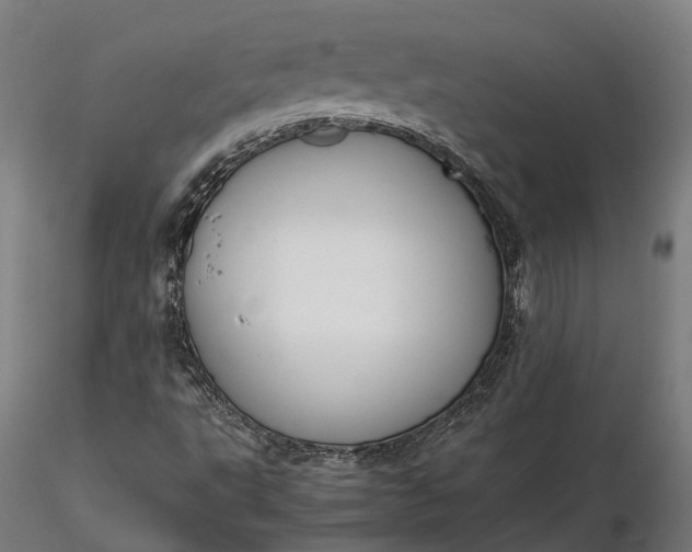 X0000116331495200912151253