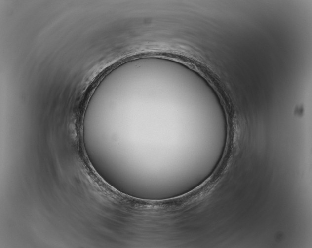 X0000116331497200912151253