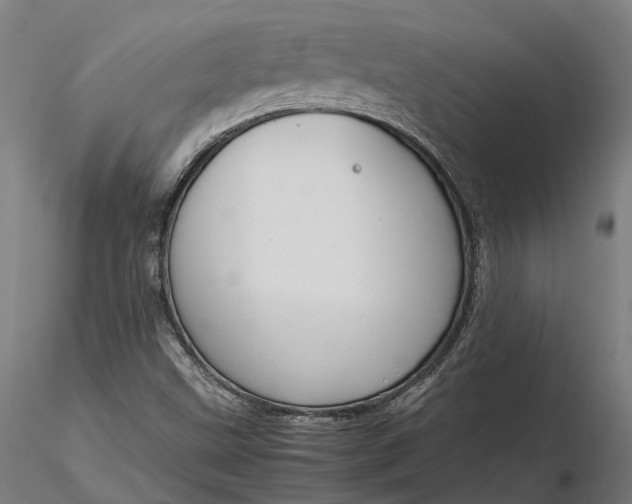 X0000116331499200912151253