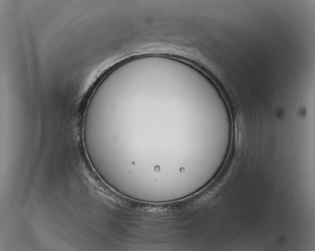 X0000116331501200912151253