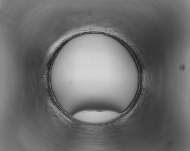 X0000116331502200912151253