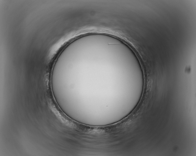 X0000116331503200912151253