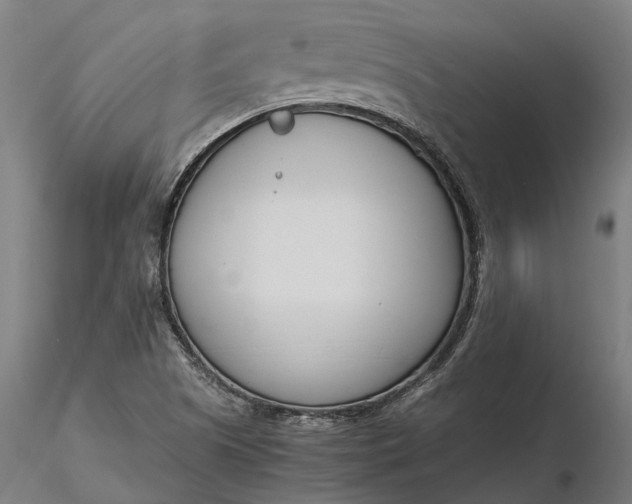 X0000116331505200912151253