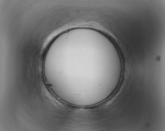 X0000116331506200912151253