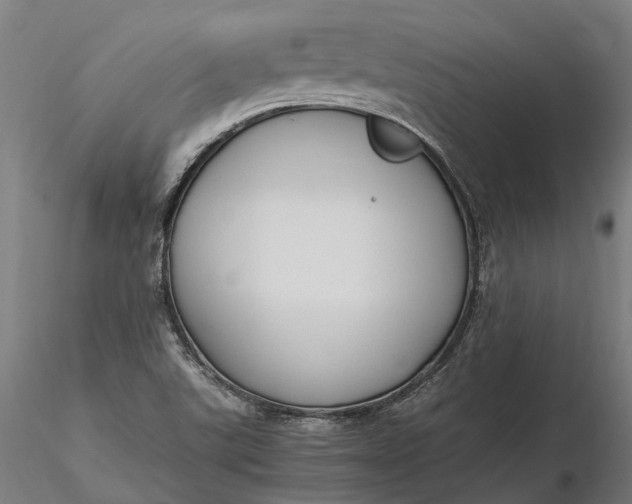 X0000116331507200912151253