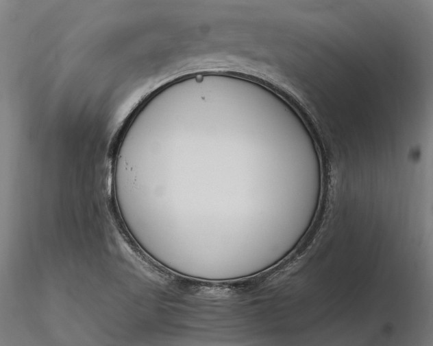 X0000116331509200912151254