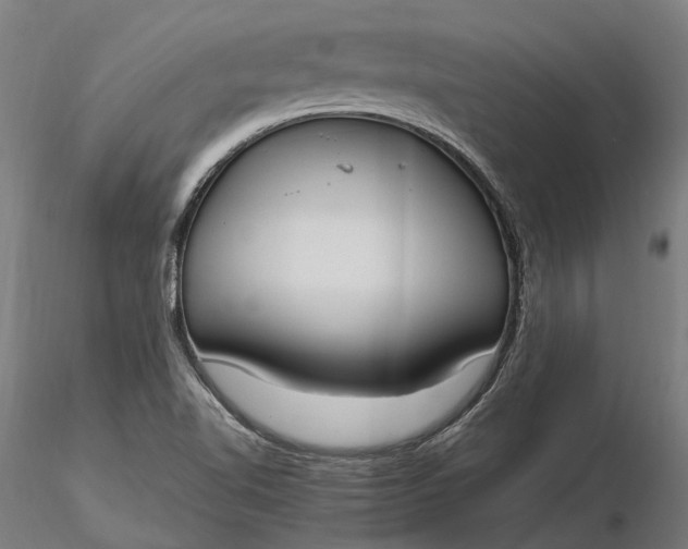 X0000116331510200912151254